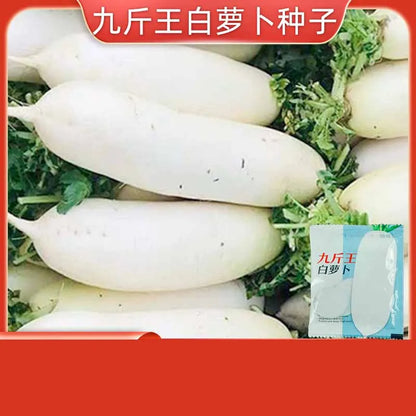 Vegetable Seeds | 10 Grams Per Bag