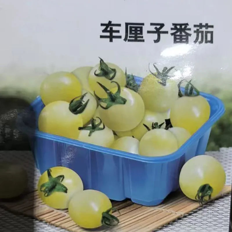 Tomato Seeds | 100pcs Per Bag