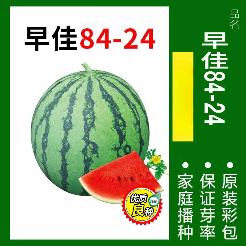 Vegetable Seeds | 10 Grams Per Bag