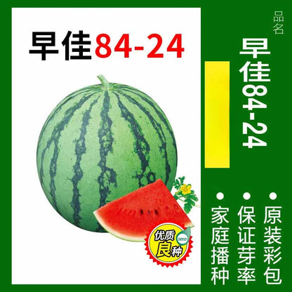 Vegetable Seeds | 10 Grams Per Bag