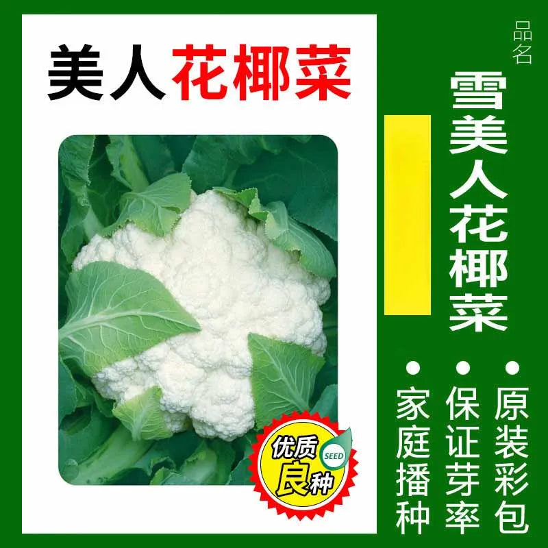 Vegetable Seeds | 10 Grams Per Bag