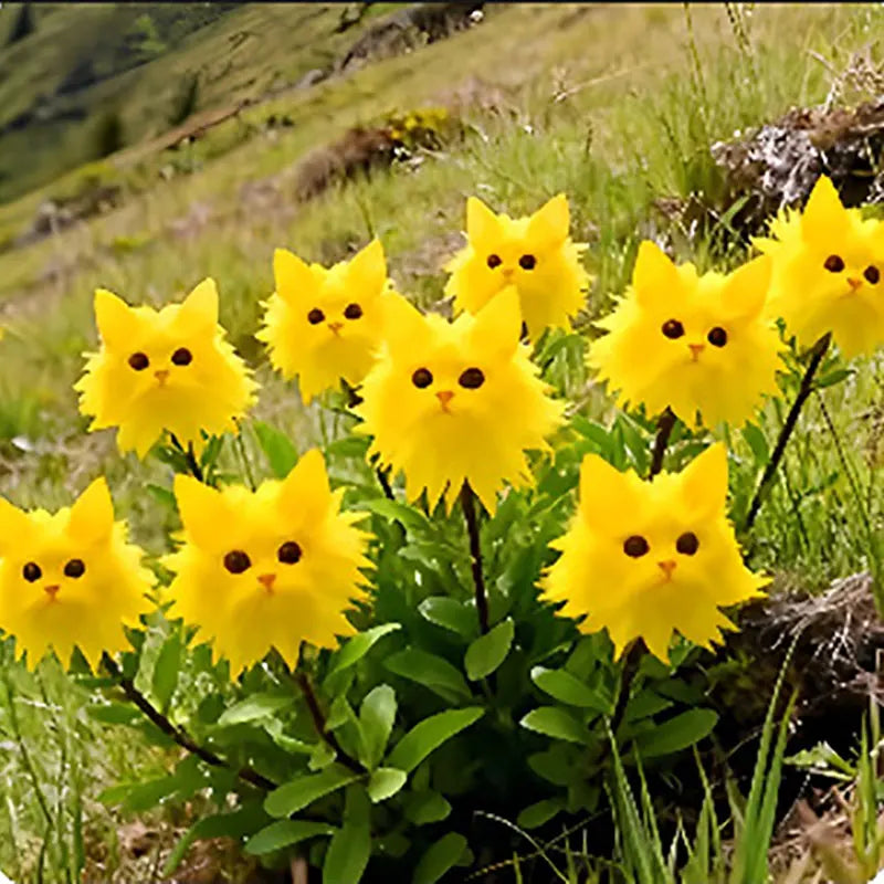 Face cat orchid Seeds | 550pcs Per Bag