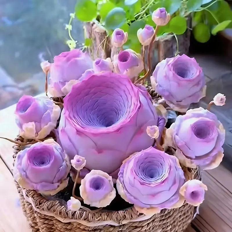 Mountain Rose Seeds | 500pcs Per Bag