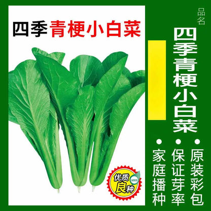 Vegetable Seeds | 10 Grams Per Bag