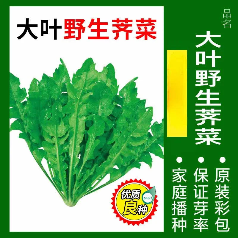 Vegetable Seeds | 10 Grams Per Bag