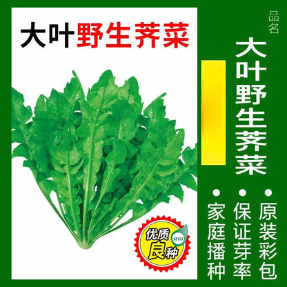 Vegetable Seeds | 10 Grams Per Bag