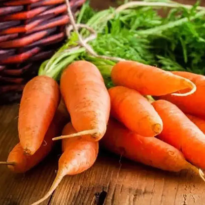 Vegetable Seeds | 10 Grams Per Bag