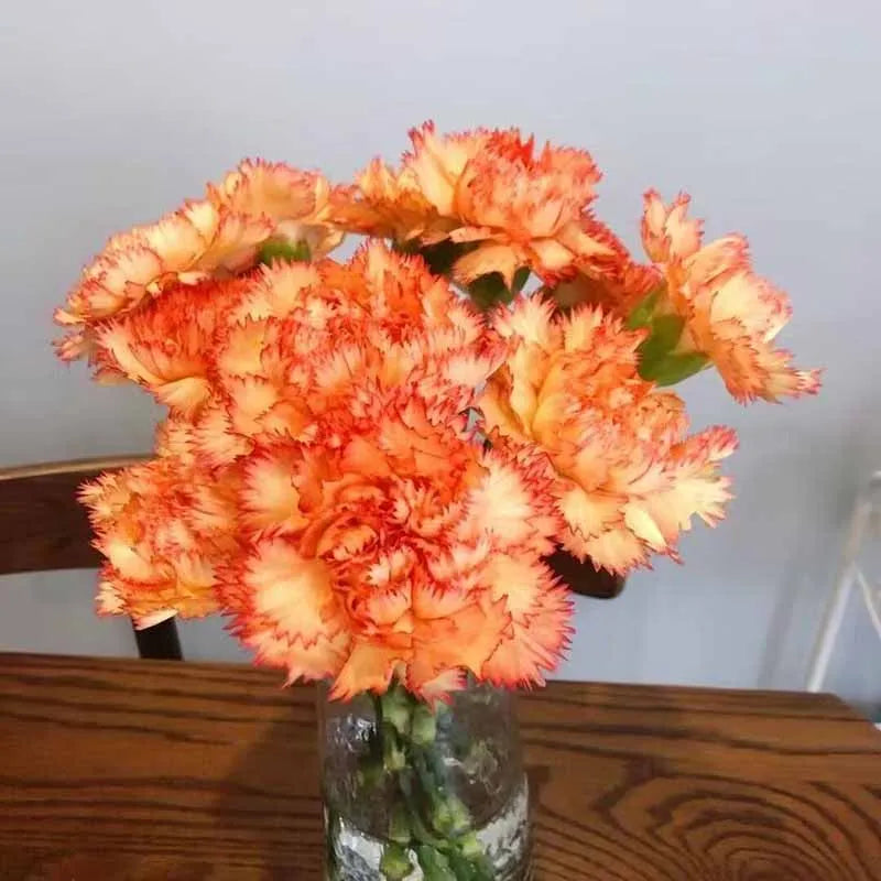 Carnation Seeds | 528pcs Per Bag