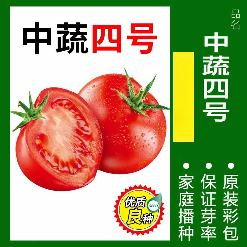 Vegetable Seeds | 10 Grams Per Bag