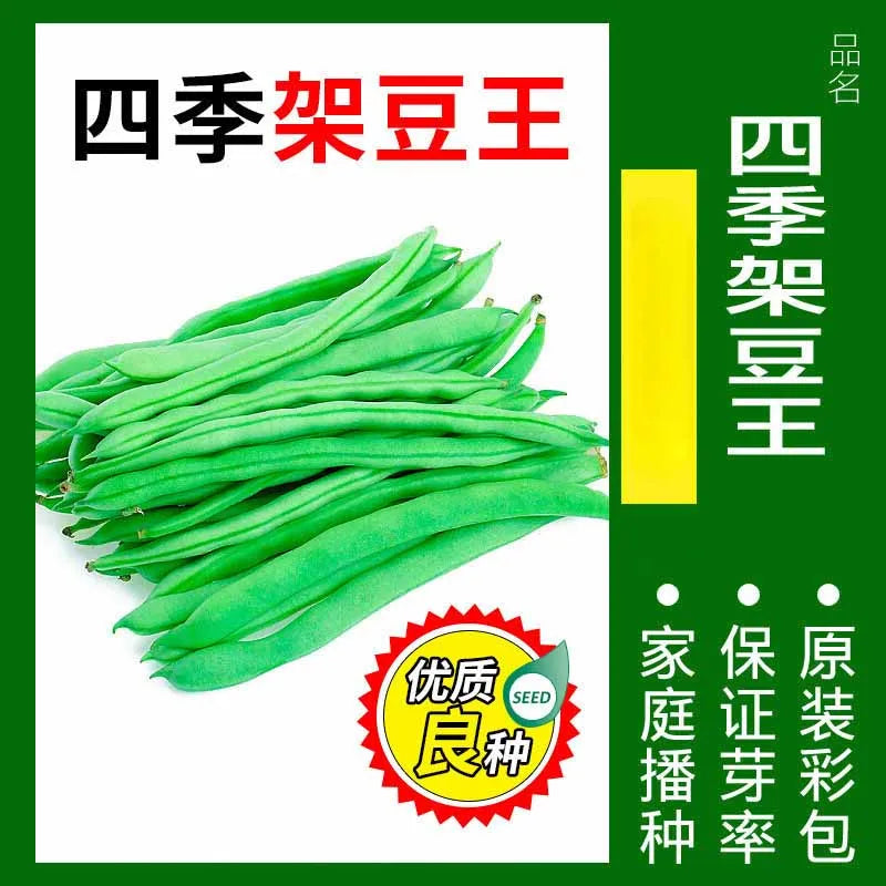 Vegetable Seeds | 10 Grams Per Bag