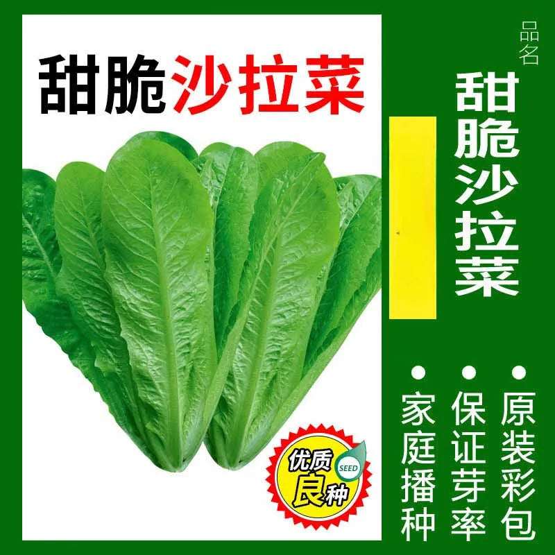 Vegetable Seeds | 10 Grams Per Bag