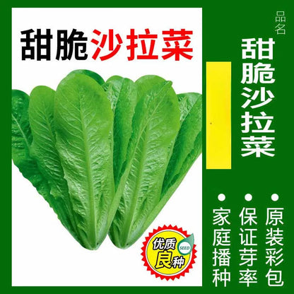 Vegetable Seeds | 10 Grams Per Bag