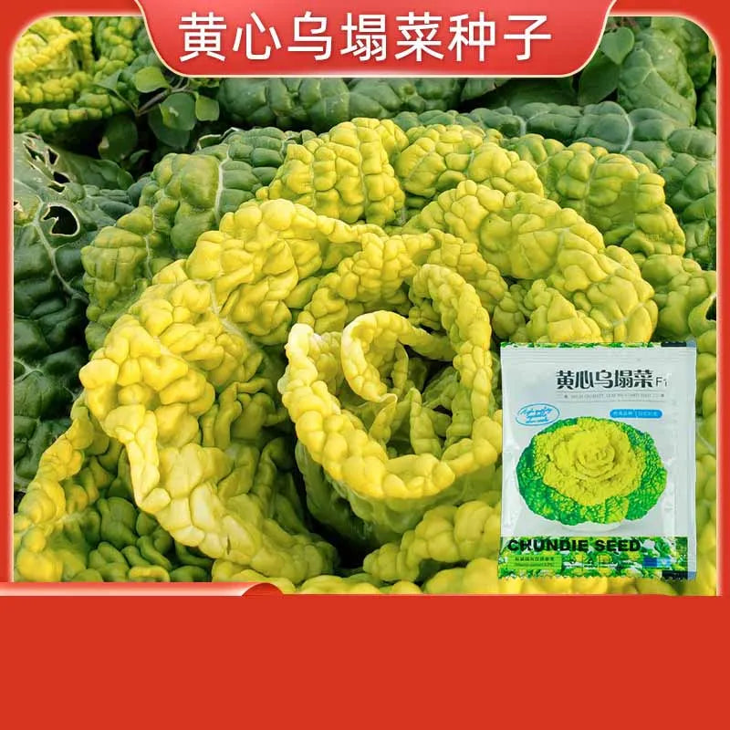 Vegetable Seeds | 10 Grams Per Bag