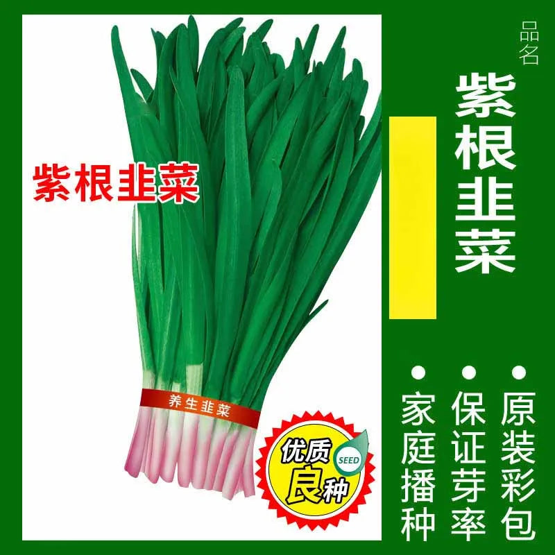 Vegetable Seeds | 10 Grams Per Bag