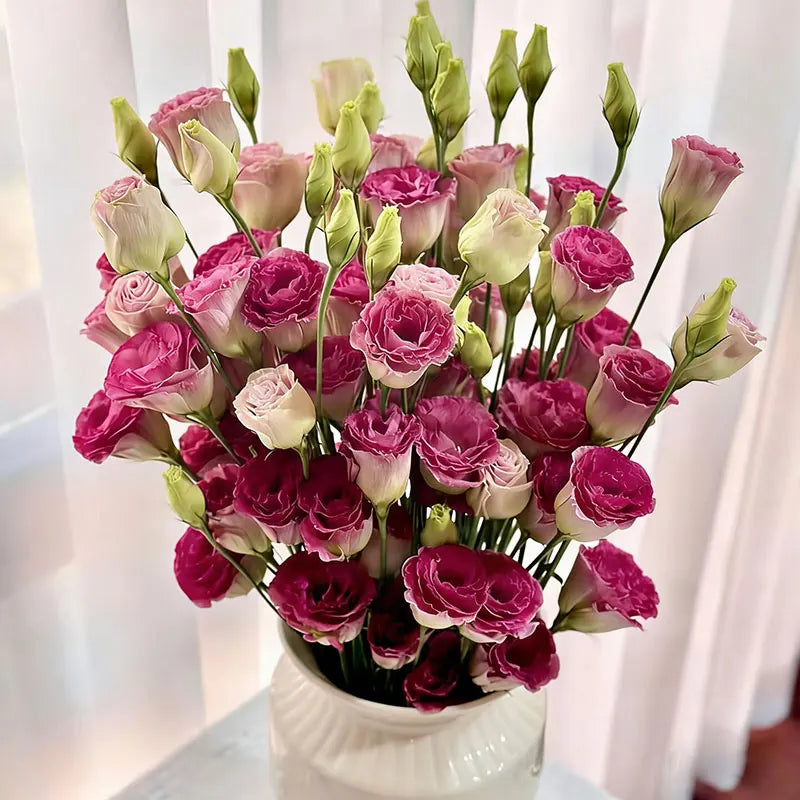 Eustoma grandiflorum Seeds | 1000pcs Per Bag
