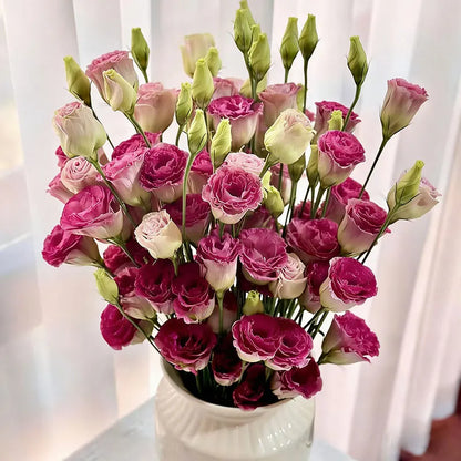 Eustoma grandiflorum Seeds | 1000pcs Per Bag