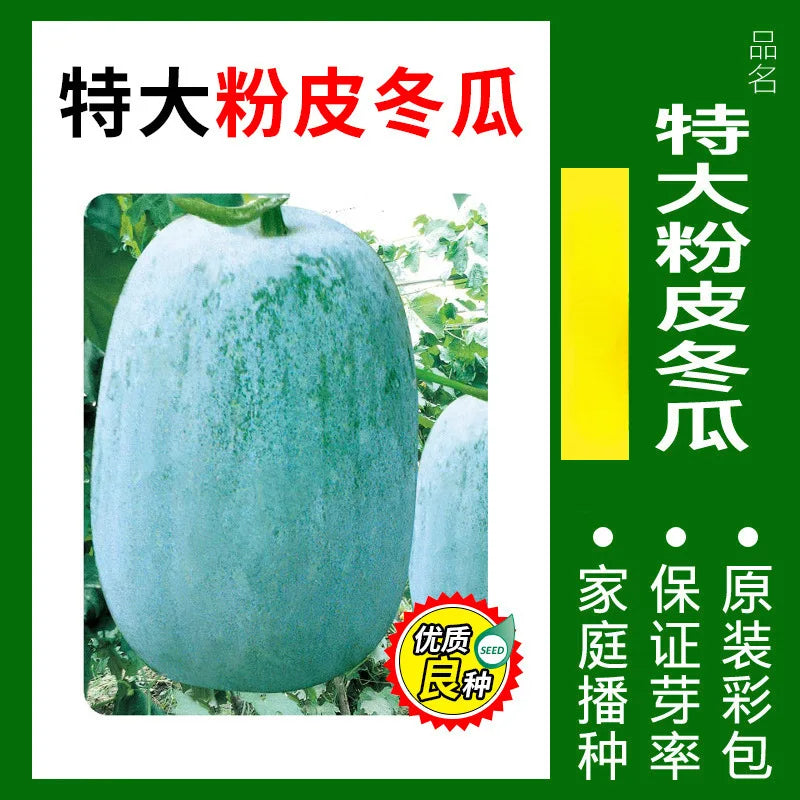 Vegetable Seeds | 10 Grams Per Bag