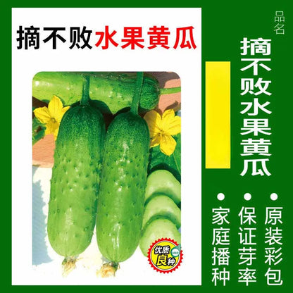 Vegetable Seeds | 10 Grams Per Bag