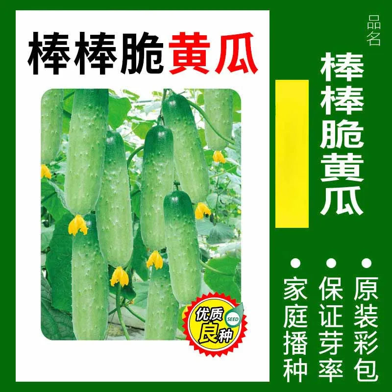 Vegetable Seeds | 10 Grams Per Bag