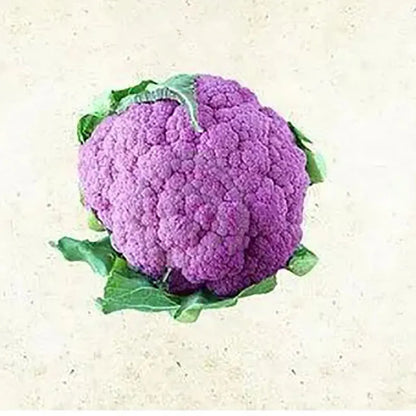 Vegetable Seeds | 10 Grams Per Bag