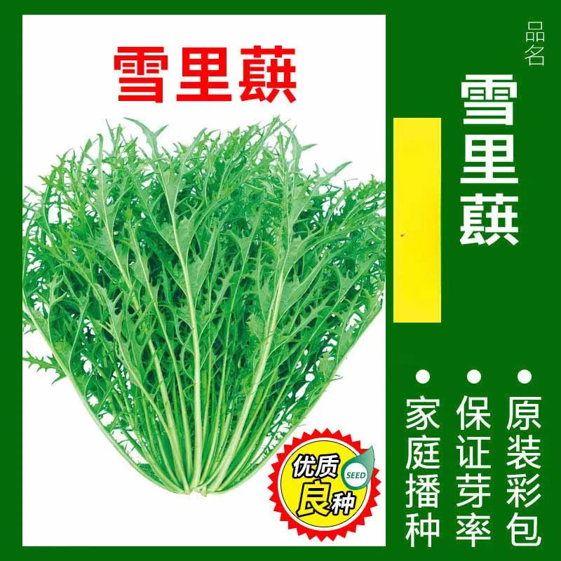 Vegetable Seeds | 10 Grams Per Bag