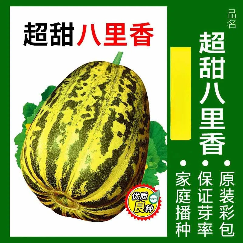 Vegetable Seeds | 10 Grams Per Bag