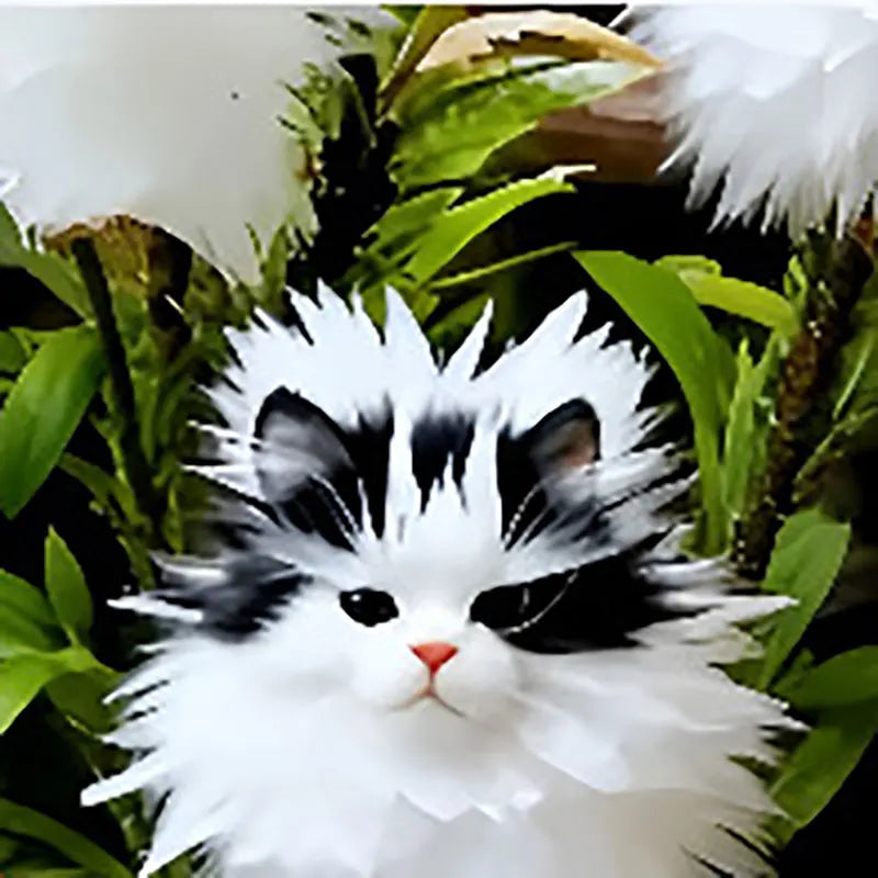 Face cat orchid Seeds | 550pcs Per Bag