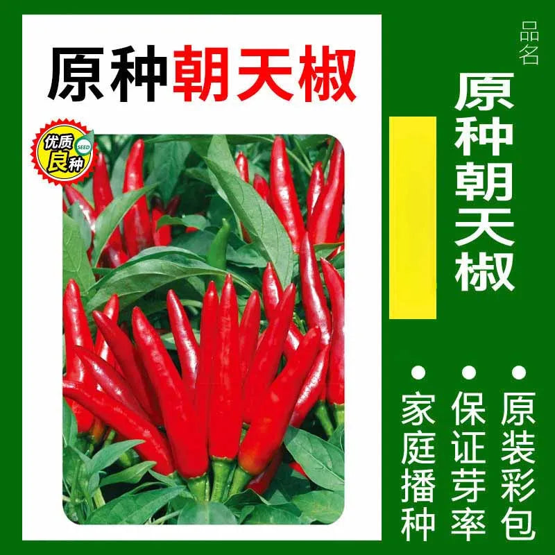 Vegetable Seeds | 10 Grams Per Bag