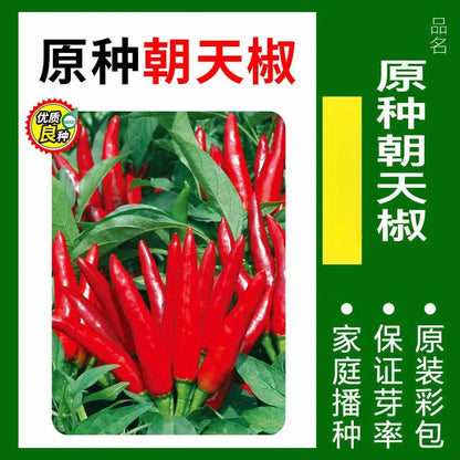 Vegetable Seeds | 10 Grams Per Bag