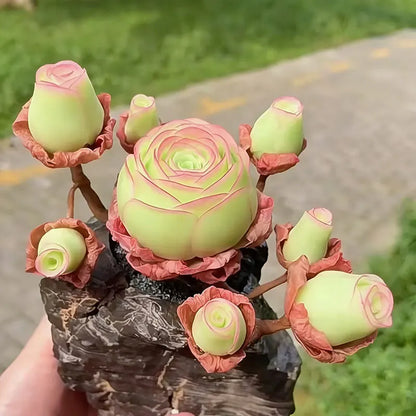 Mountain Rose Seeds | 500pcs Per Bag