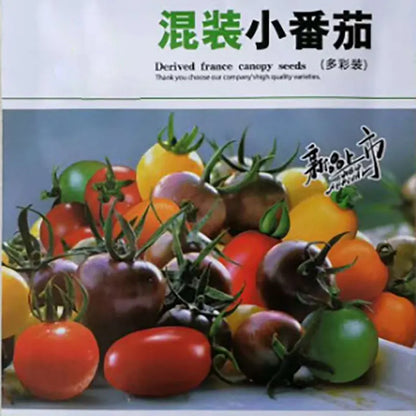 Tomato Seeds | 100pcs Per Bag