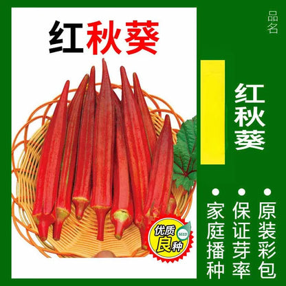 Vegetable Seeds | 10 Grams Per Bag