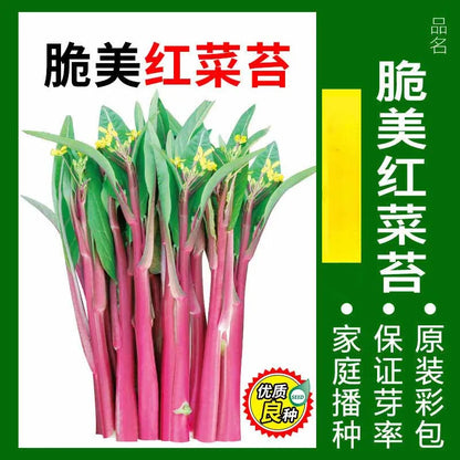 Vegetable Seeds | 10 Grams Per Bag