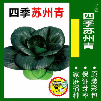 Vegetable Seeds | 10 Grams Per Bag