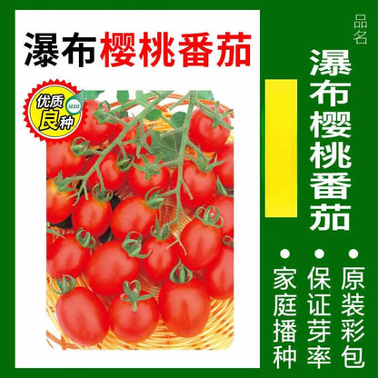 Vegetable Seeds | 10 Grams Per Bag