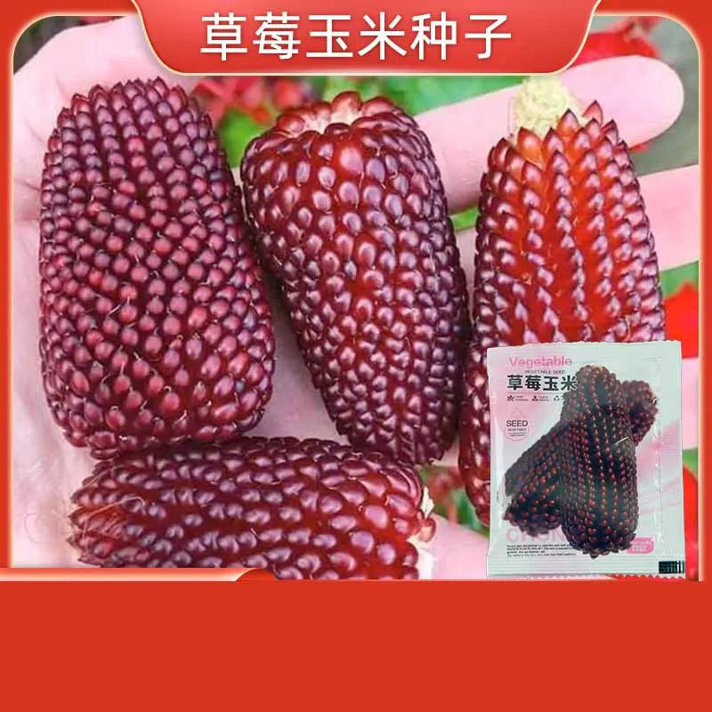 Vegetable Seeds | 10 Grams Per Bag