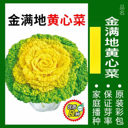 Vegetable Seeds | 10 Grams Per Bag