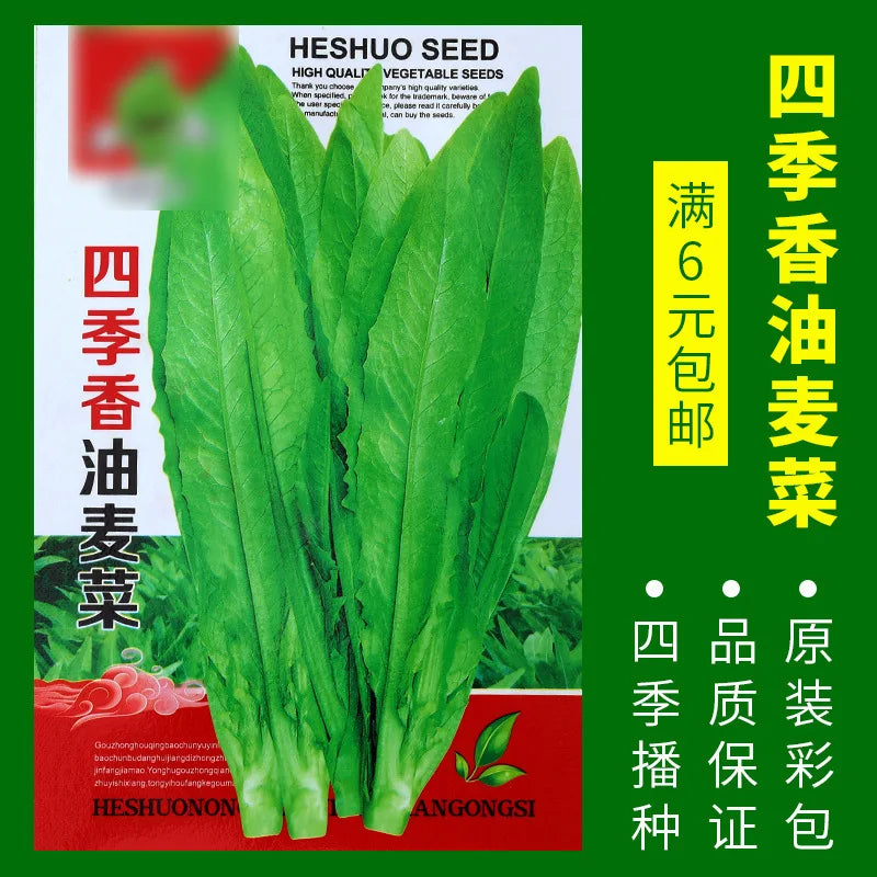 Vegetable Seeds | 10 Grams Per Bag