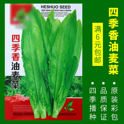 Vegetable Seeds | 10 Grams Per Bag