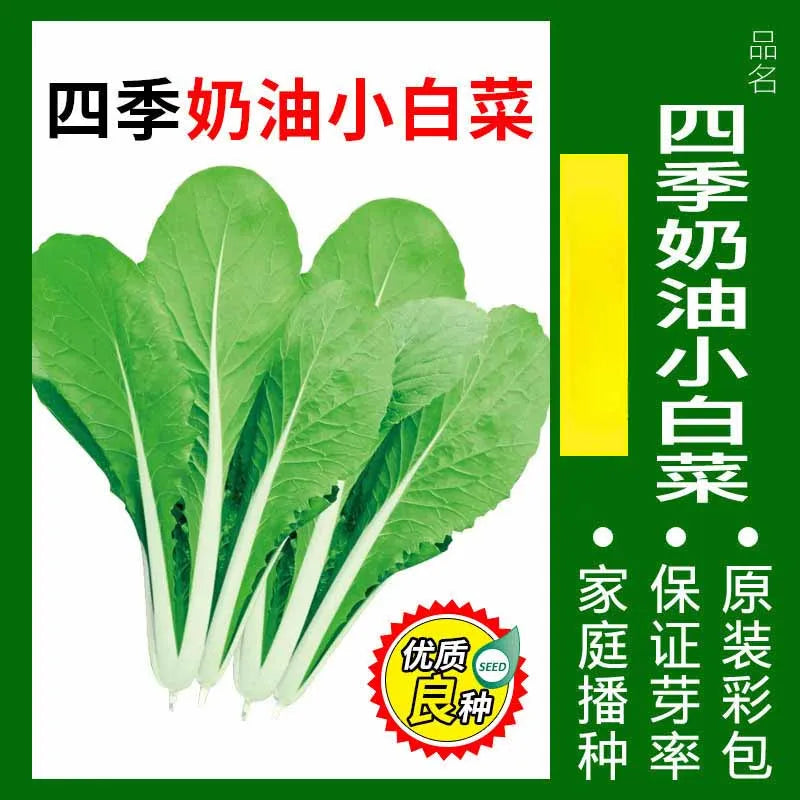 Vegetable Seeds | 10 Grams Per Bag