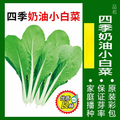 Vegetable Seeds | 10 Grams Per Bag