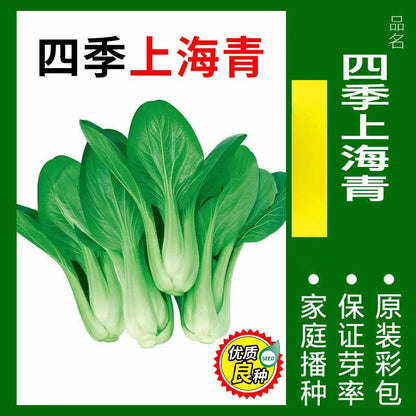 Vegetable Seeds | 10 Grams Per Bag