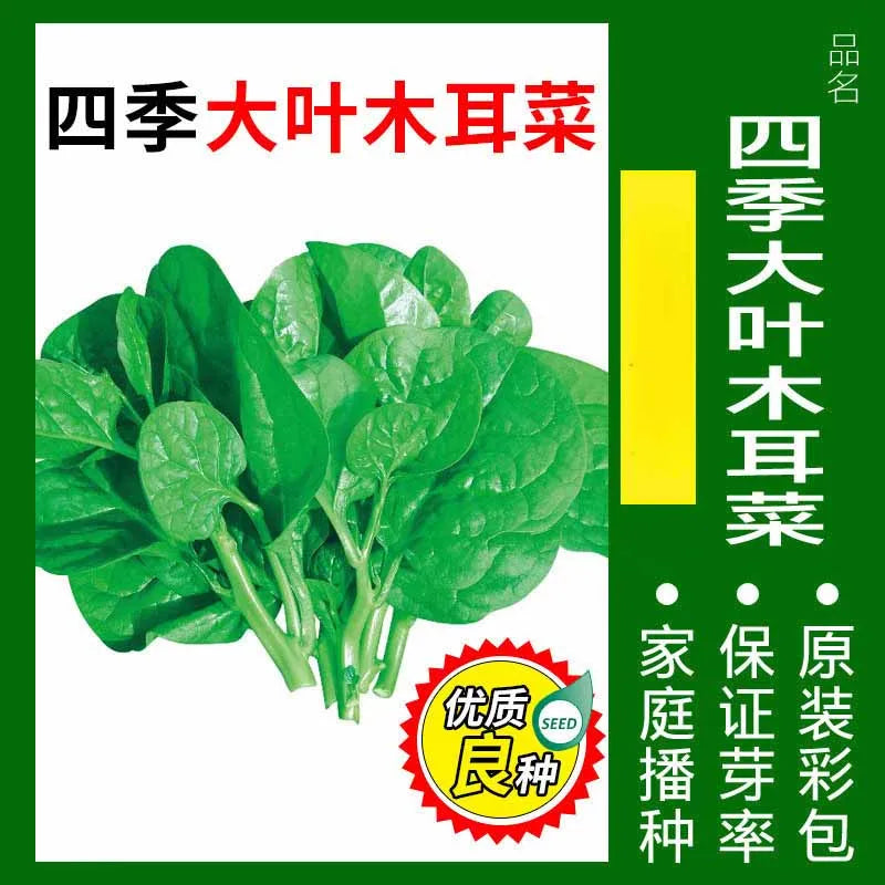 Vegetable Seeds | 10 Grams Per Bag