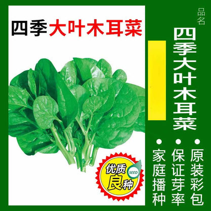 Vegetable Seeds | 10 Grams Per Bag