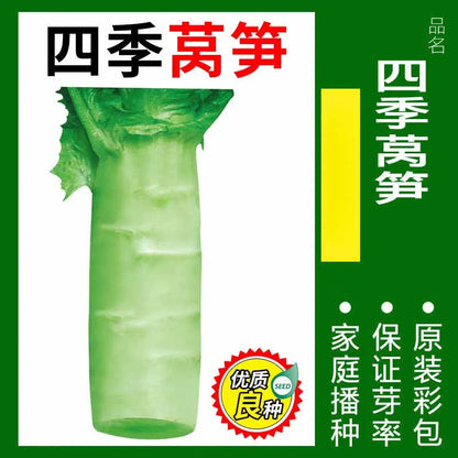 Vegetable Seeds | 10 Grams Per Bag