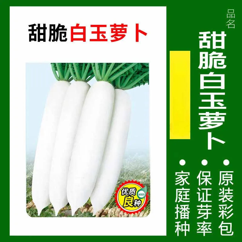 Vegetable Seeds | 10 Grams Per Bag