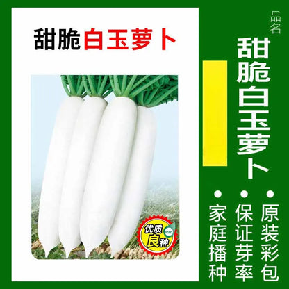 Vegetable Seeds | 10 Grams Per Bag