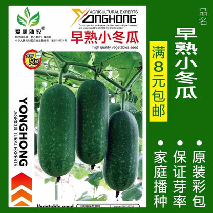 Vegetable Seeds | 10 Grams Per Bag