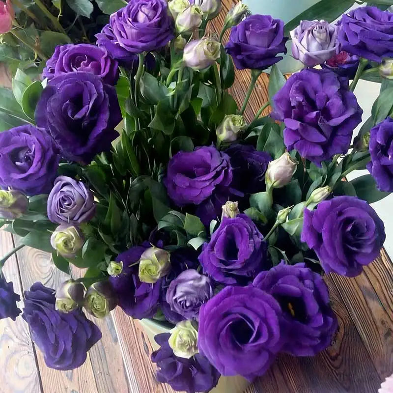 Eustoma grandiflorum Seeds | 1000pcs Per Bag