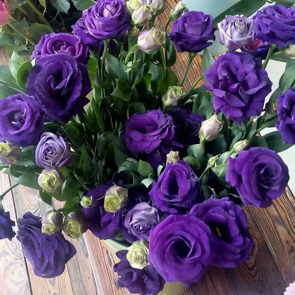 Eustoma grandiflorum Seeds | 1000pcs Per Bag